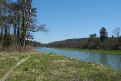 DSCN0486