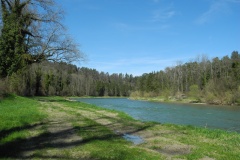 DSCN0491