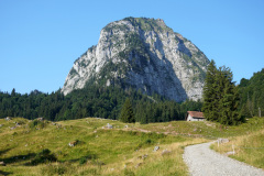DSC05416