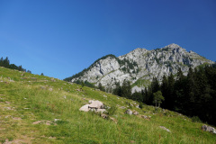 DSC05420