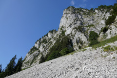 DSC05425