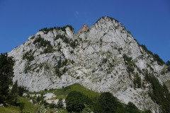 DSC05426