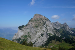 DSC05441