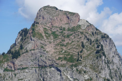 DSC05461