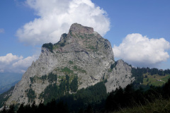 DSC05465
