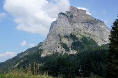 DSC05474