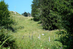 DSC05483