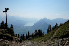 DSC05490