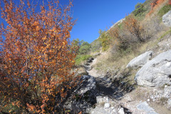 DSCN3913