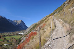 DSCN3915
