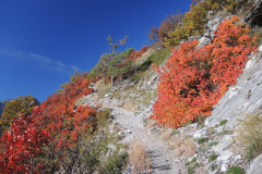 DSCN3921