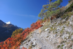 DSCN3924