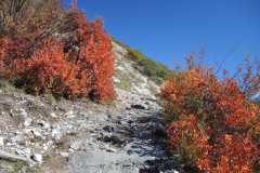 DSCN3932
