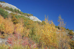 DSCN3944