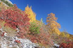DSCN3946