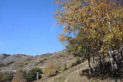 DSCN3950