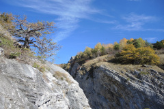 DSCN3967