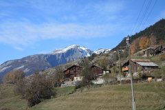 DSCN3972