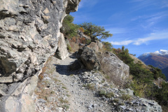 DSCN3996