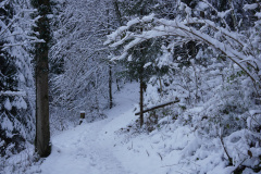 DSC06336