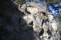 DSCN3229