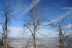 DSCN3237