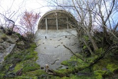 DSCN3243