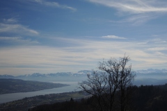 DSCN3251