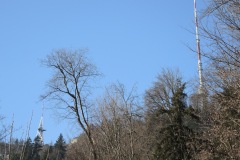 DSCN3331