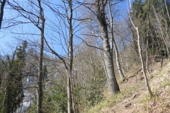DSCN3343