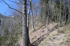 DSCN3344