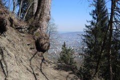 DSCN3363
