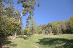 DSCN3406