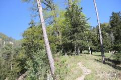 DSCN3414