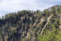 Z20200417_115035