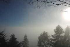 DSCN4068