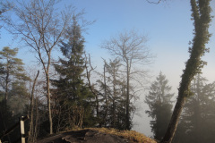 DSCN4069
