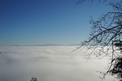 DSCN4074