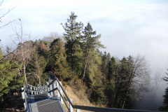 DSCN4080
