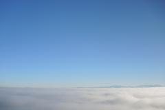 DSCN4084