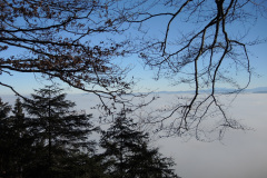 DSCN4114