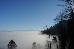 DSCN4118