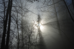 DSCN4120