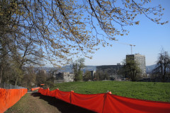 DSCN4247