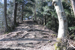 DSCN4250