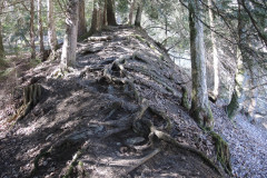 DSCN4263