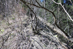 DSCN4265