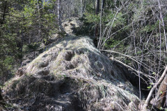 DSCN4267
