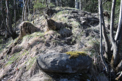 DSCN4273