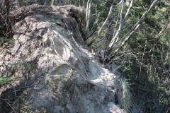 DSCN4276